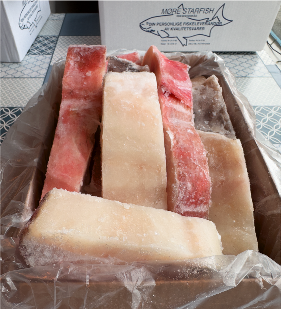 Dypvannsfisken norsk uer